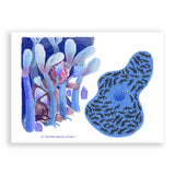 The boy who drowned in the park