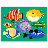 Peces