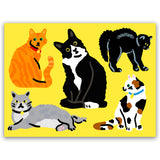 Gatos
