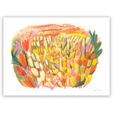 Champ de Tulipes