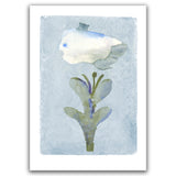 Temperança - Peixito