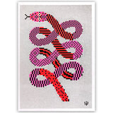 Incredibilis Animalibus - Ana Types