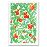 Arbusto - Medronhos - risograph