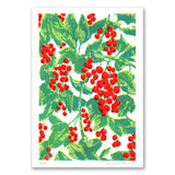 Arbusto - Groselhas Vermelhas - risograph