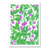 Arbustos - Amoras - risograph