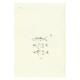 Caderno de um Mundo Inacabado #3