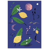 Limones