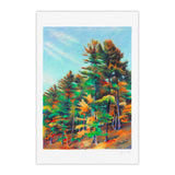 La forêt de Walden #1