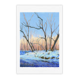Promenade en hiver #5
