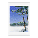 Promenade en hiver #9