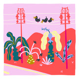 Roadside view with Arnicôcos