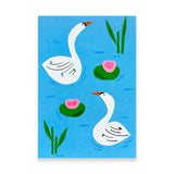 Cisnes