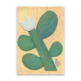 Caracol e Tulipa